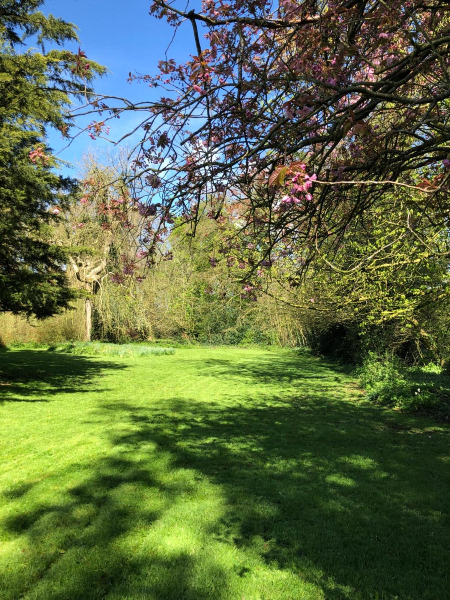 Springwood - Royal Hillsborough Villa Екстериор снимка